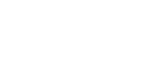 wduarte Logo Blanco